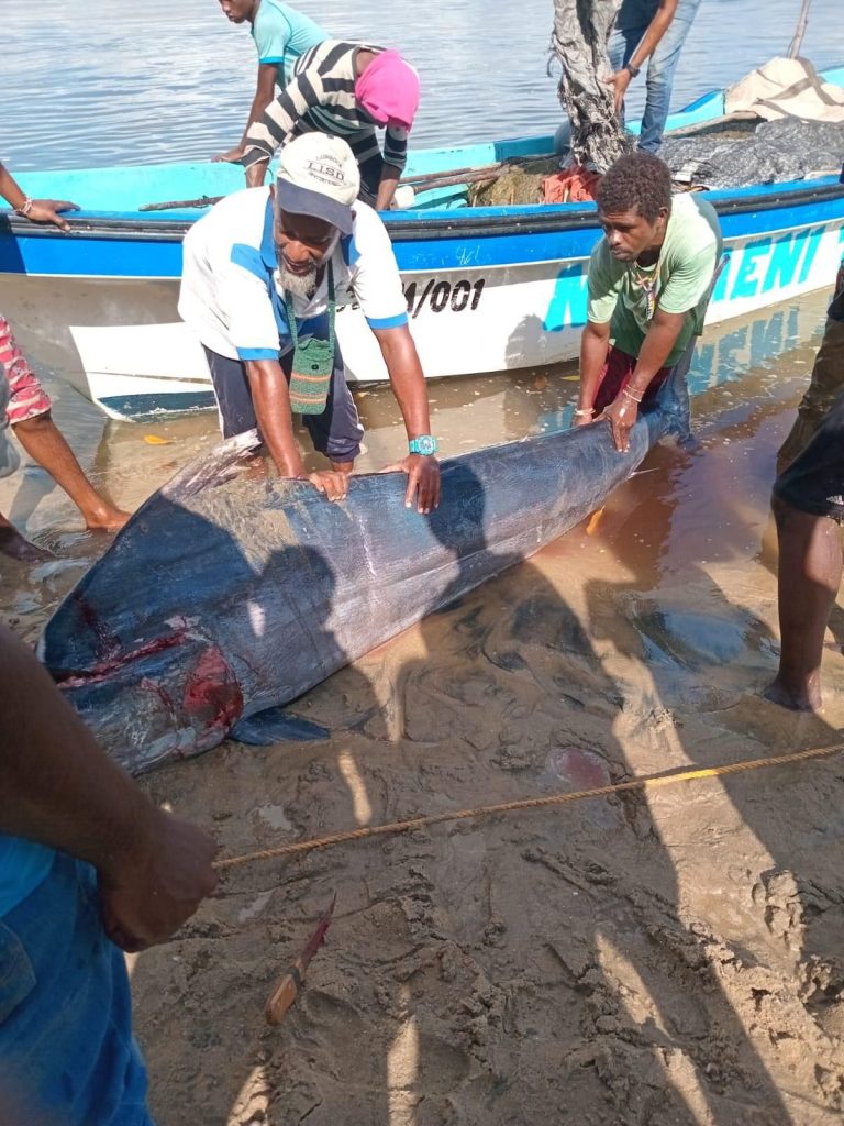 Ngomeni Tuungane Self-Help Group Achieves Impressive 401 kg Fish Catch with Support from KEMFSED Project

